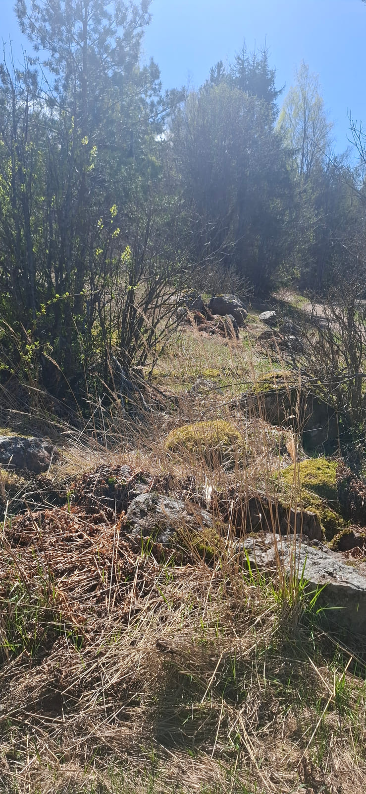 Kiinteistö/tontti Virolahdella. Kuolinpesä Viitanen