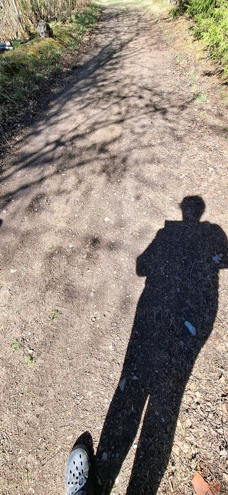 Kiinteistö/tontti Virolahdella. Kuolinpesä Viitanen