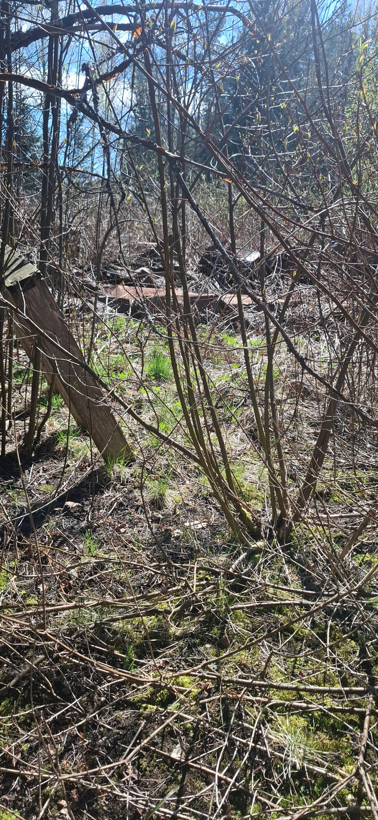 Kiinteistö/tontti Virolahdella. Kuolinpesä Viitanen
