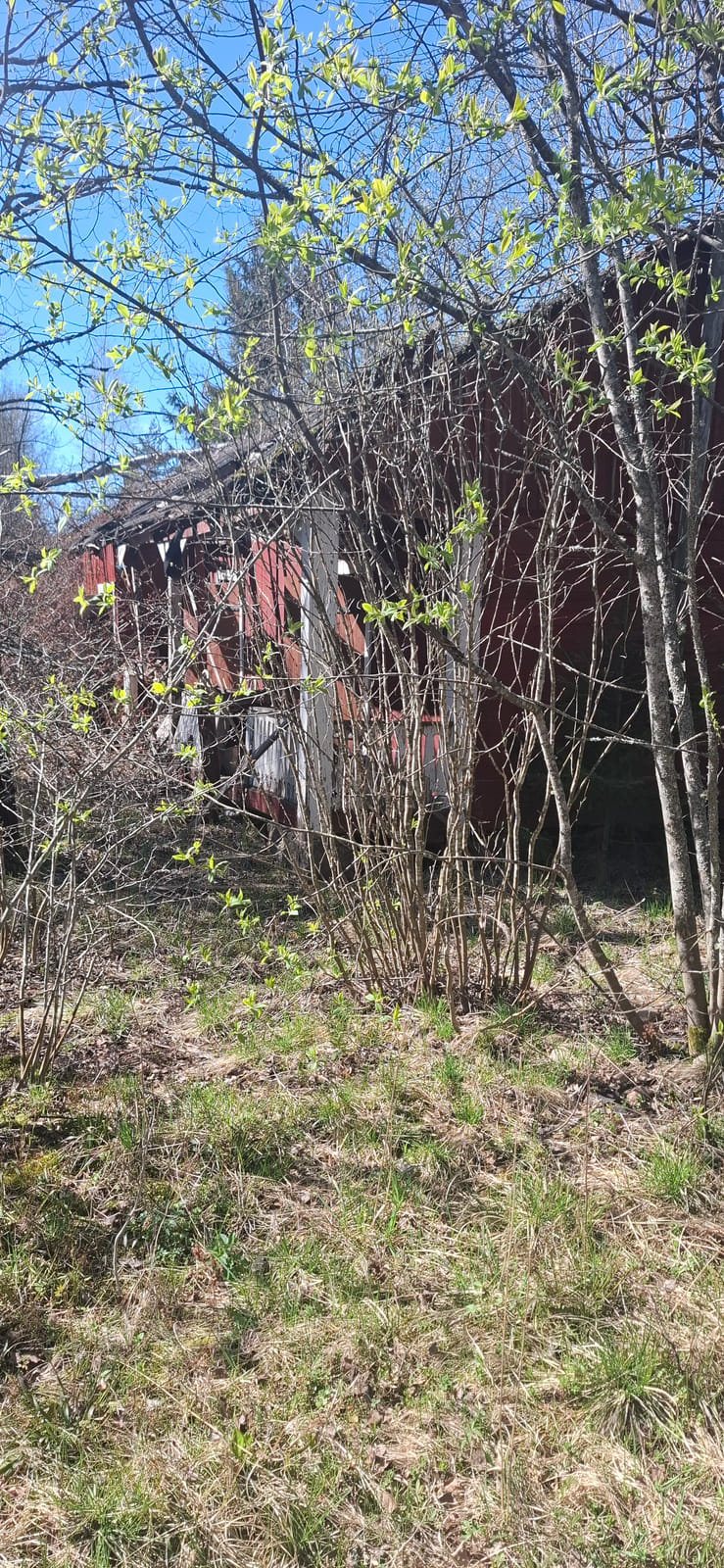 Kiinteistö/tontti Virolahdella. Kuolinpesä Viitanen