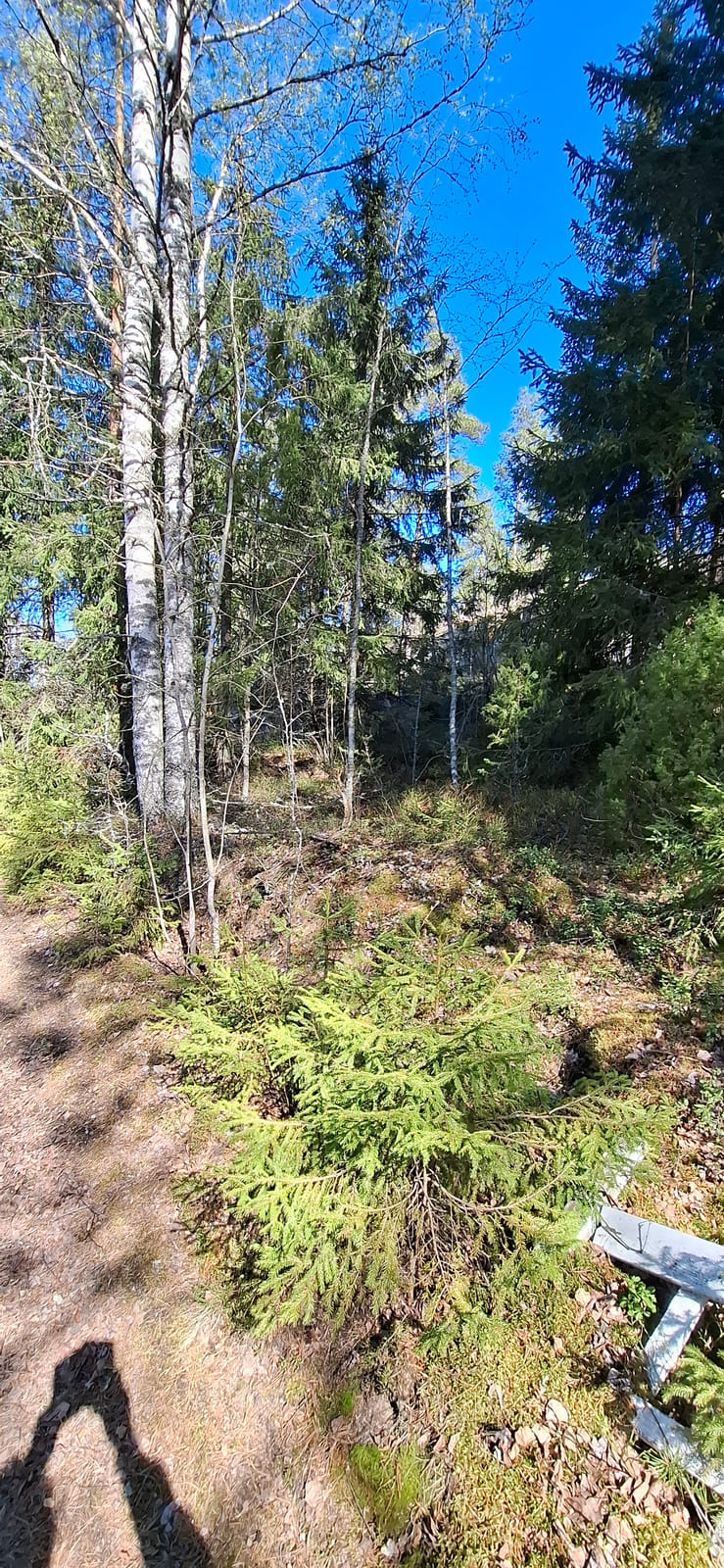 Kiinteistö/tontti Virolahdella. Kuolinpesä Viitanen