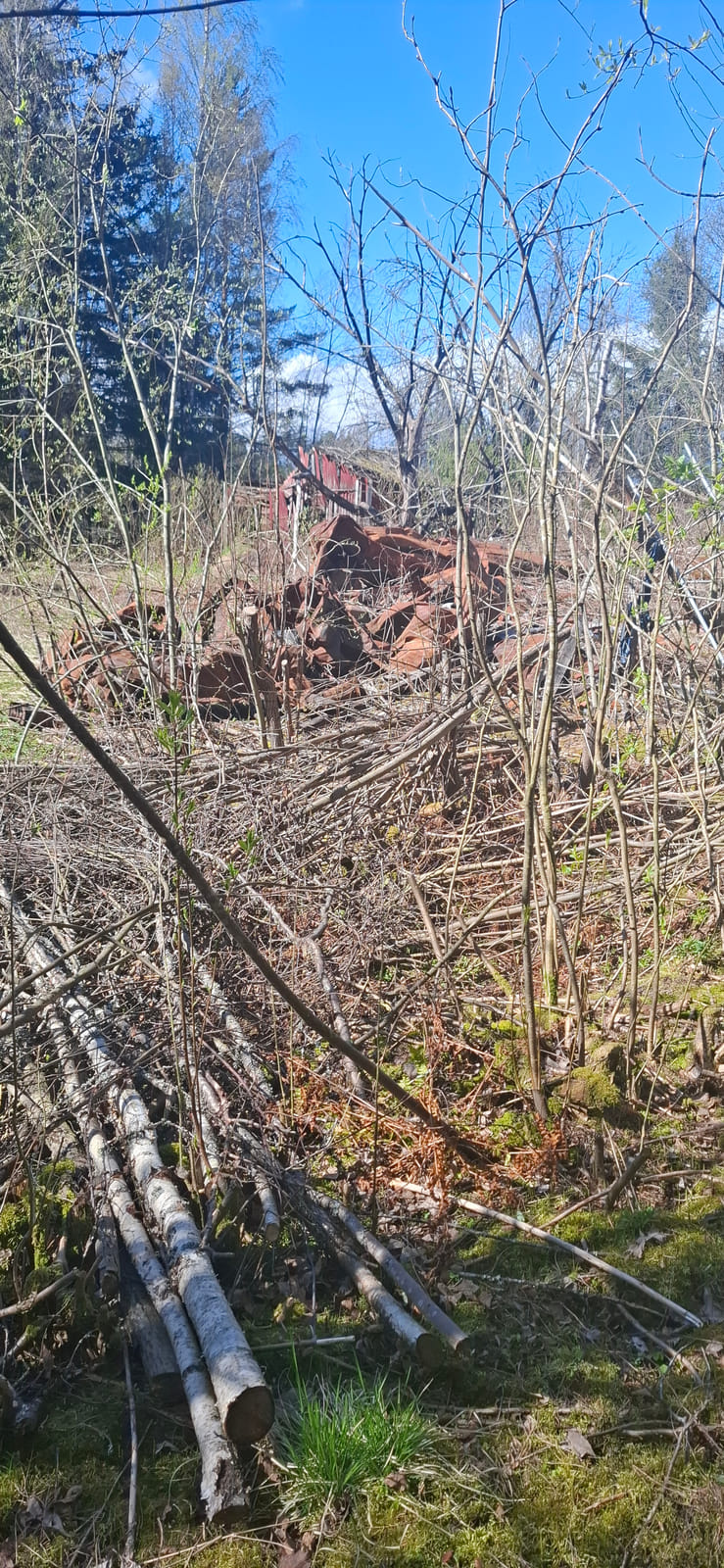 Kiinteistö/tontti Virolahdella. Kuolinpesä Viitanen