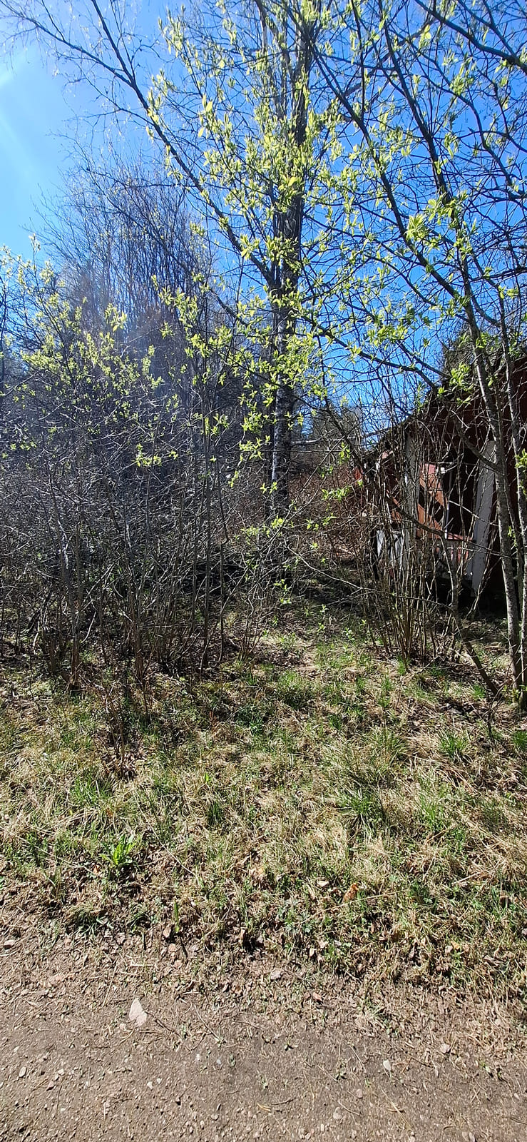 Kiinteistö/tontti Virolahdella. Kuolinpesä Viitanen