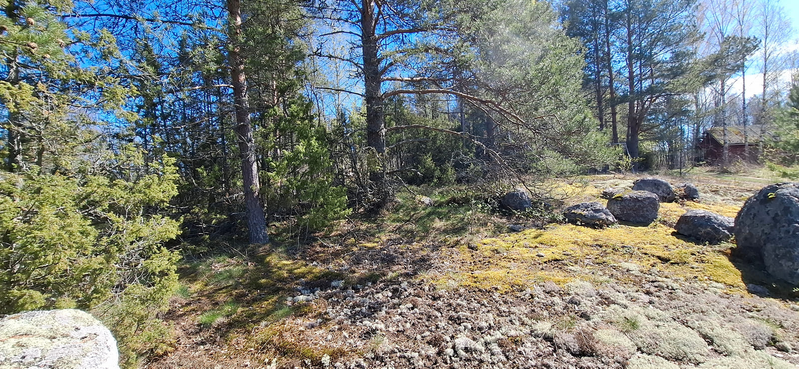 Kiinteistö/tontti Virolahdella. Kuolinpesä Viitanen