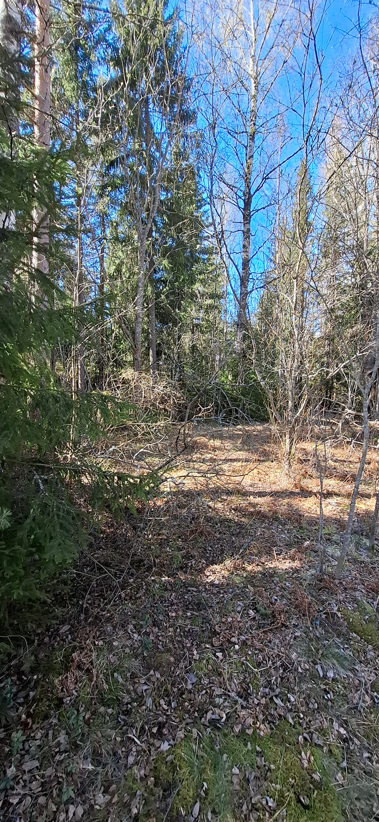 Kiinteistö/tontti Virolahdella. Kuolinpesä Viitanen