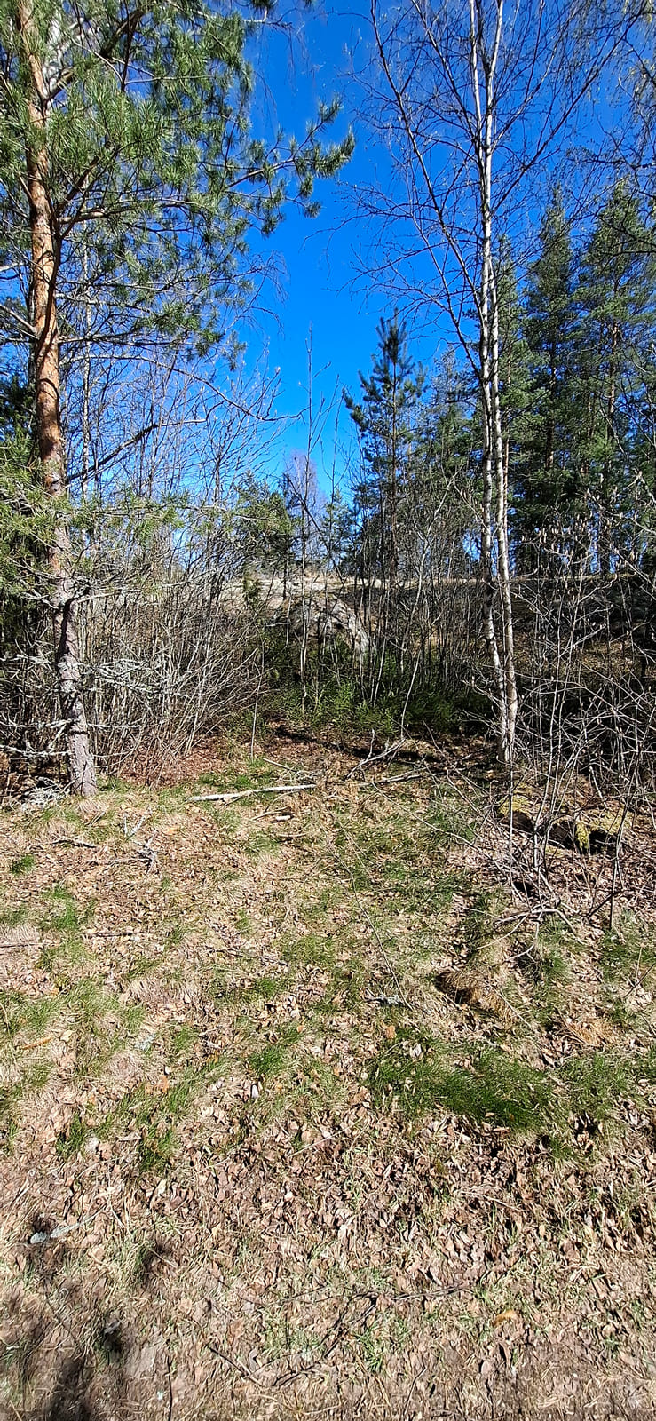Kiinteistö/tontti Virolahdella. Kuolinpesä Viitanen