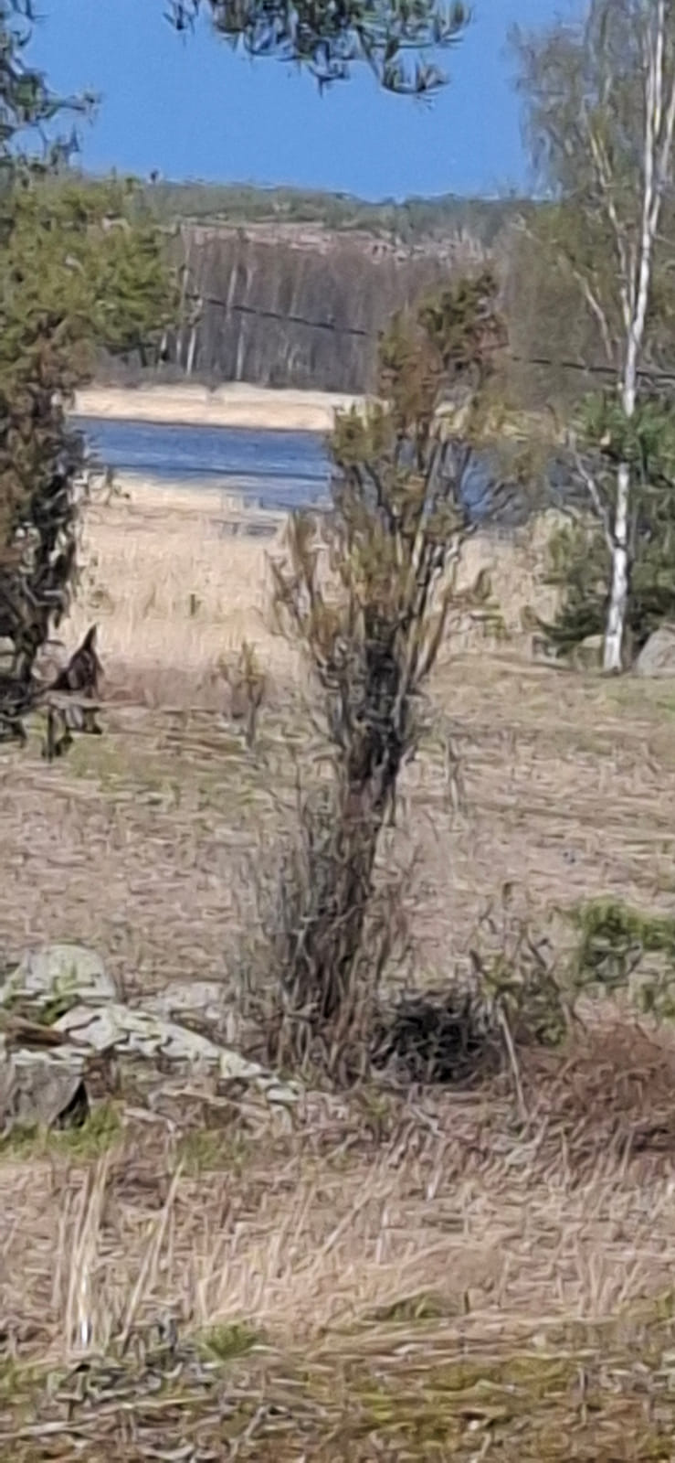 Kiinteistö/tontti Virolahdella. Kuolinpesä Viitanen