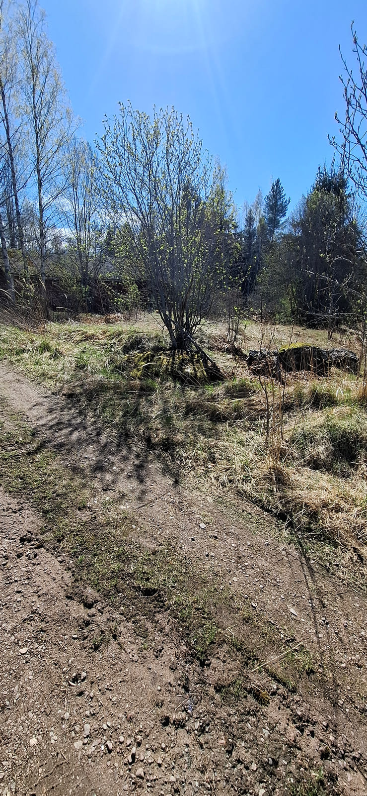 Kiinteistö/tontti Virolahdella. Kuolinpesä Viitanen