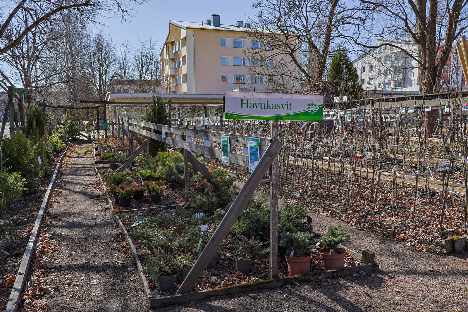 Viherpiha/kauppa vuokraoikeustontilla. Kuusaankosken Viherpiste Oy (3414973-5) konkurssi