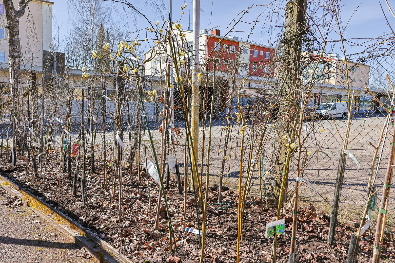 Viherpiha/kauppa vuokraoikeustontilla. Kuusaankosken Viherpiste Oy (3414973-5) konkurssi