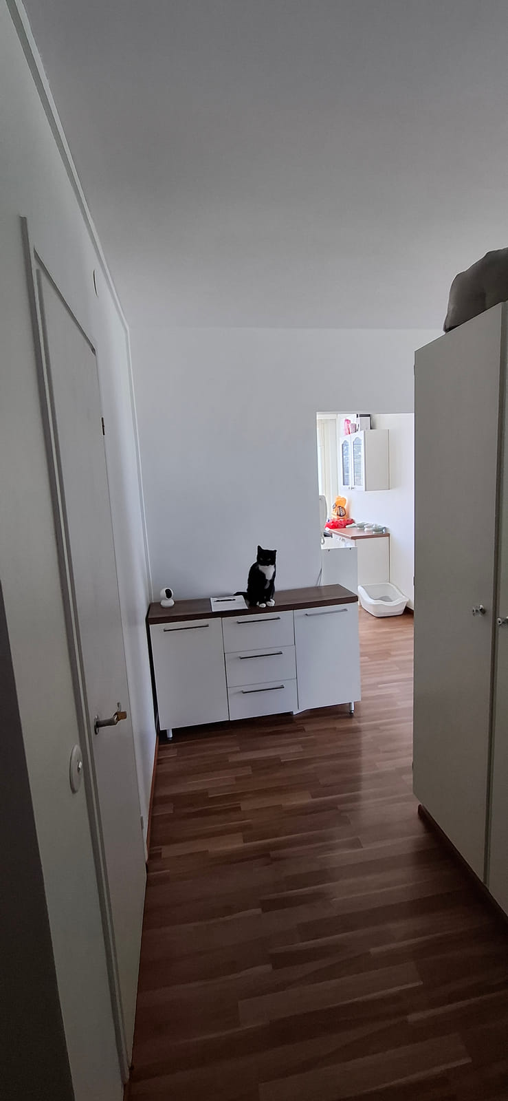 Kerrostalokaksio. Sammonkatu 9,Kotka, HMJV Invest Oy -konkurssipesä (2814261-7)